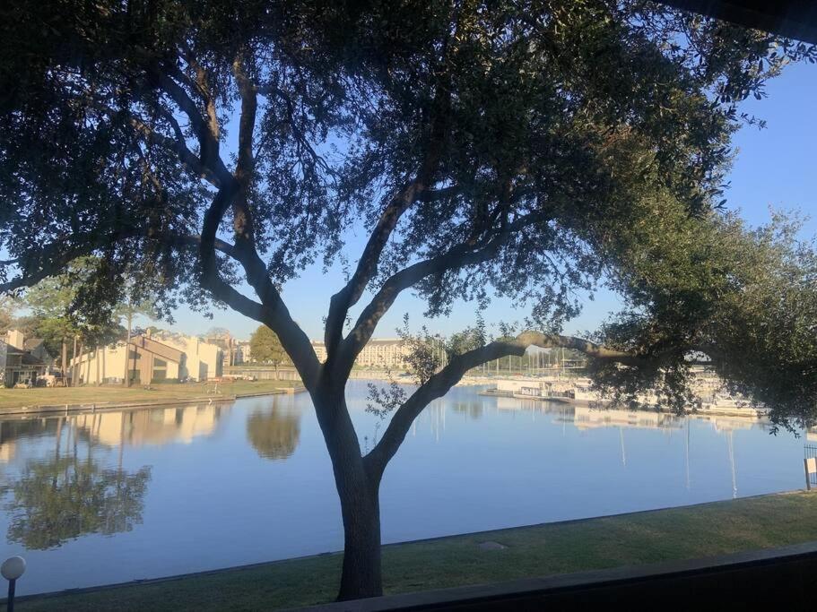 Lakeside Daze! Montgomery Εξωτερικό φωτογραφία