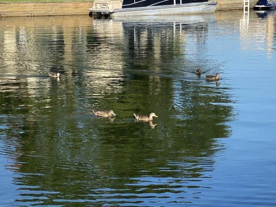 Lakeside Daze! Montgomery Εξωτερικό φωτογραφία