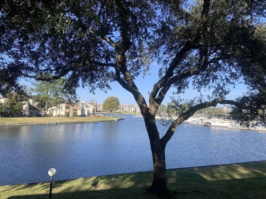 Lakeside Daze! Montgomery Εξωτερικό φωτογραφία